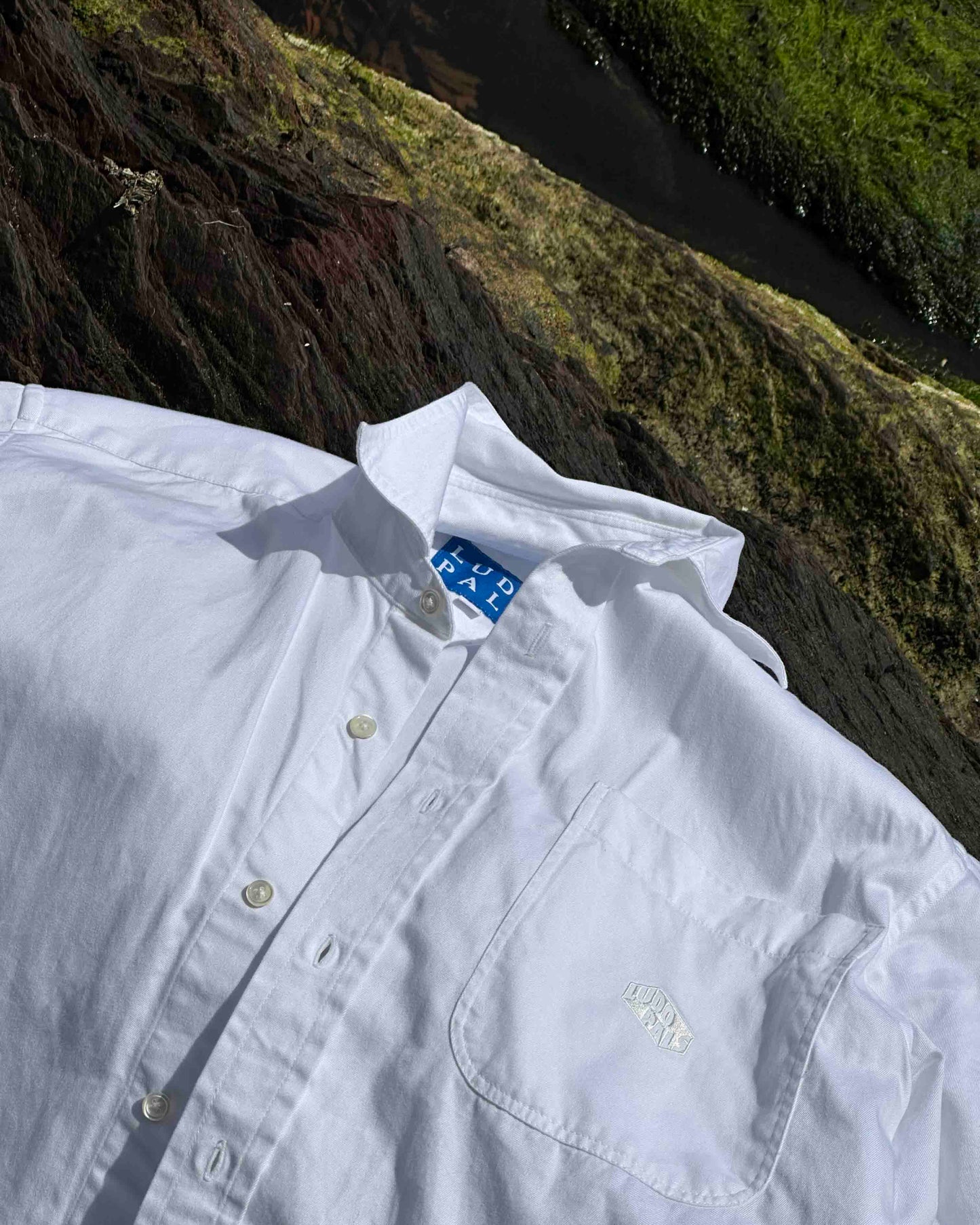 The Classic Shirt