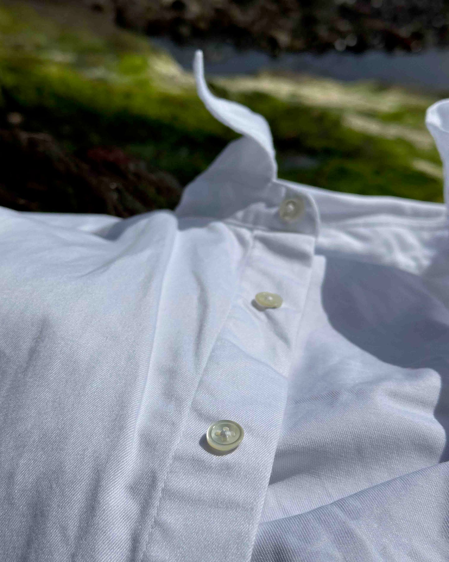The Classic Shirt
