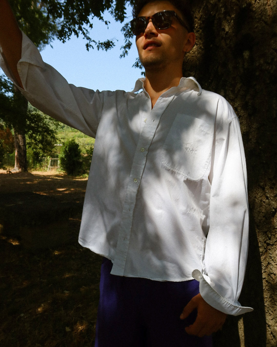 The Dress Shirt