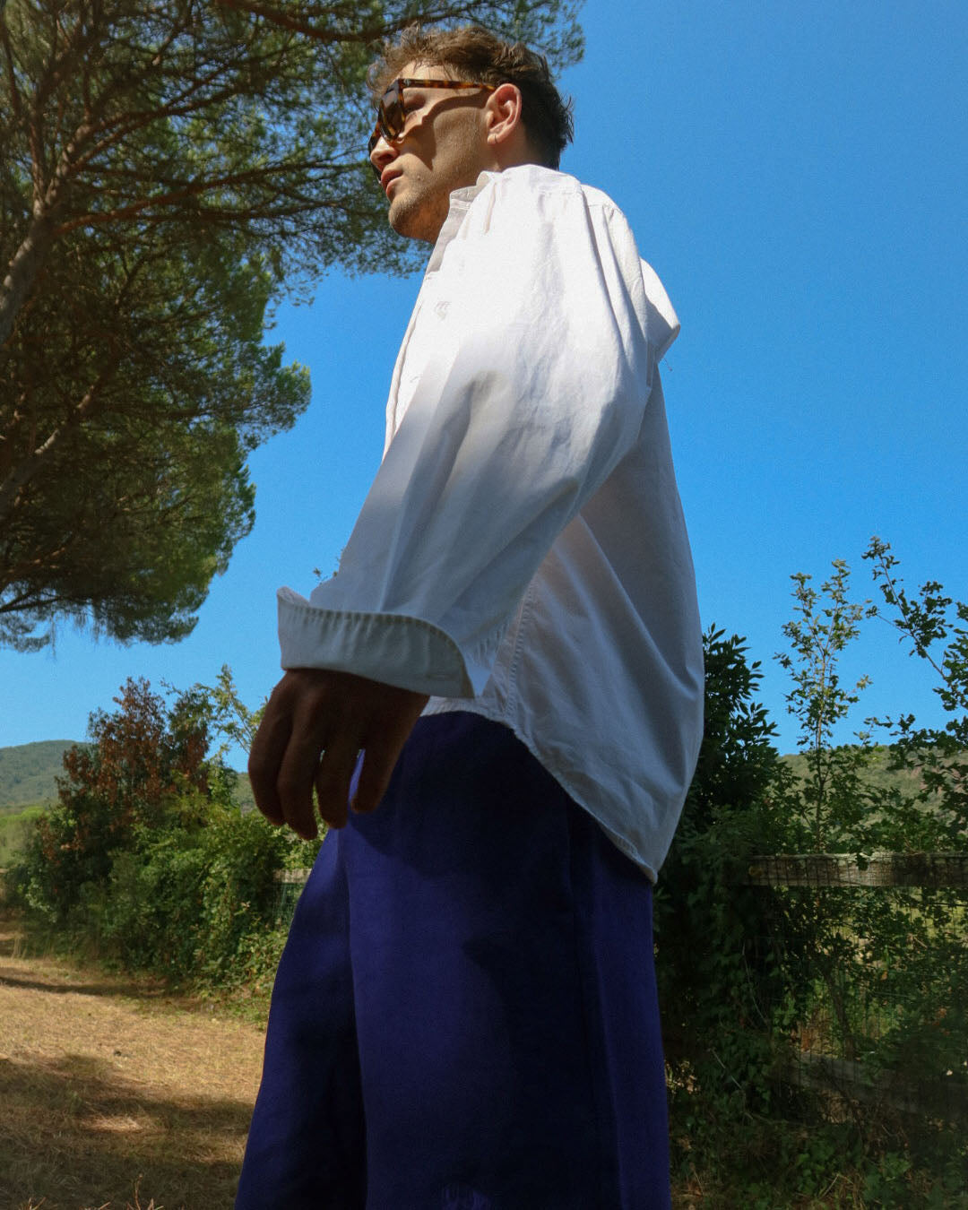 The Dress Shirt