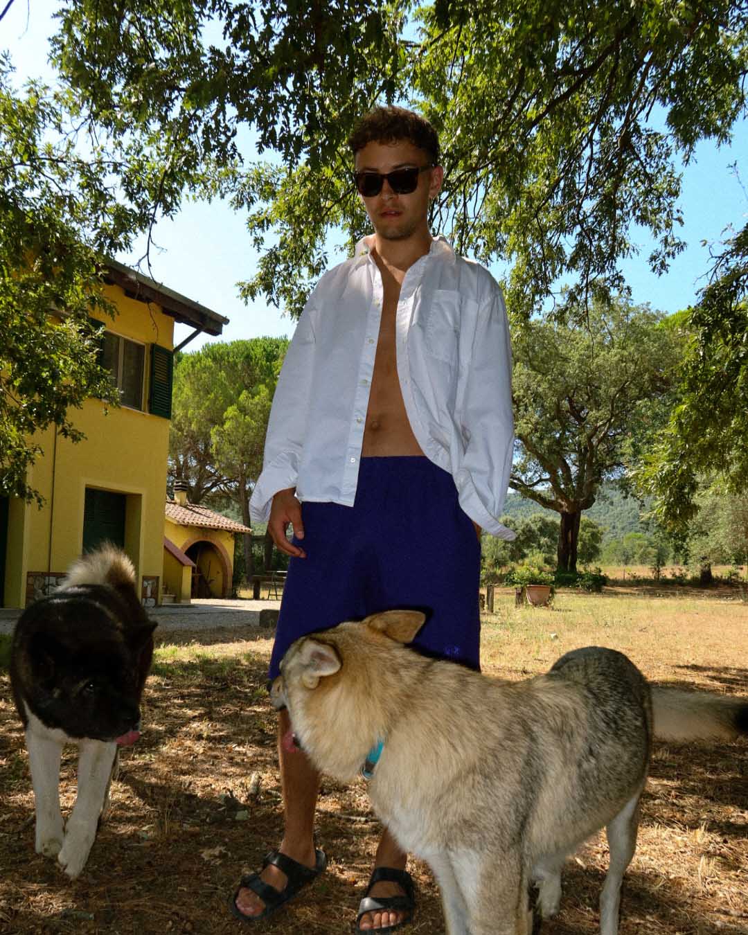 The Dress Shirt